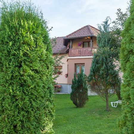 Apartment Ivan & Iva Gornji Vaganac ภายนอก รูปภาพ